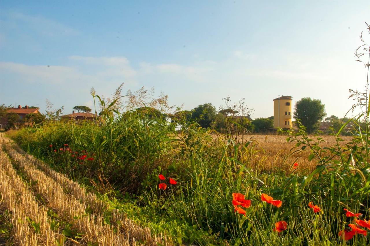 Il Silos Маккарезе Екстер'єр фото