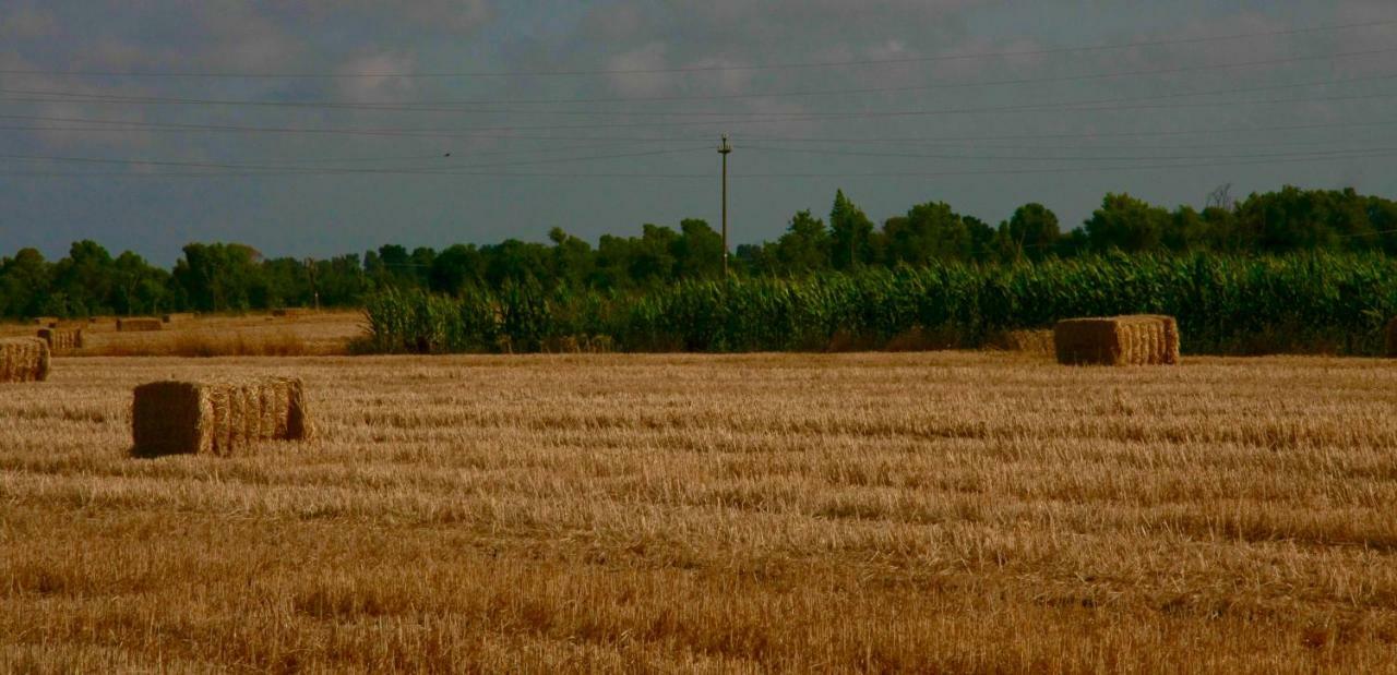 Il Silos Маккарезе Екстер'єр фото
